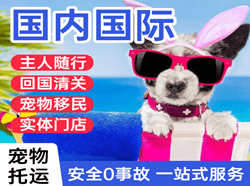 阿拉善机场邮寄国际宠物托运 【国